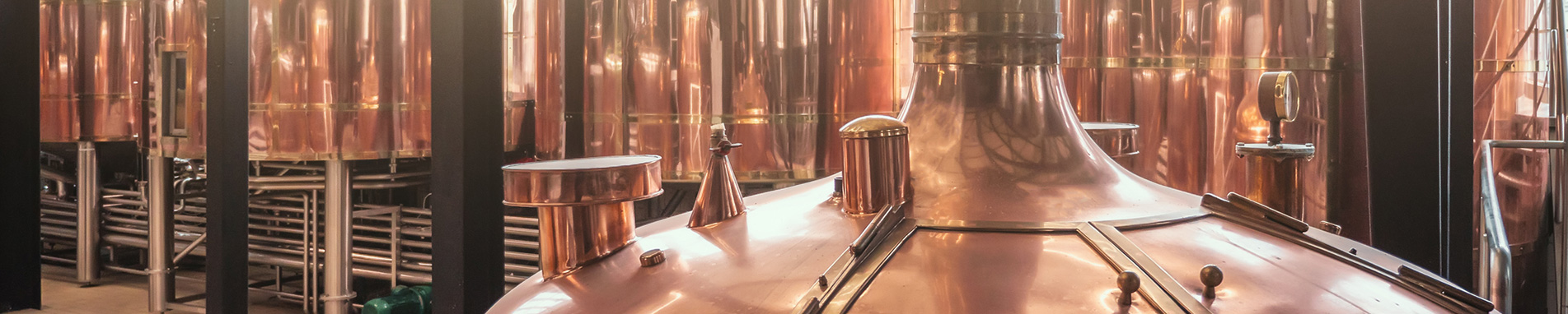 Georgia Business-Owner-Policy-(BOP) coverage